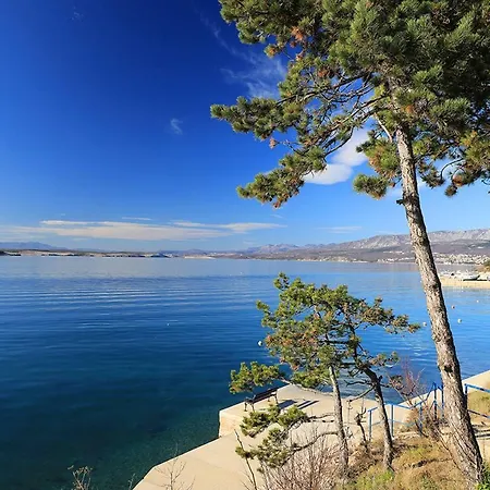 Cool דירה שילו